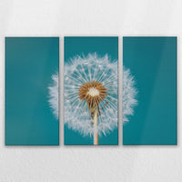 LW-150R100