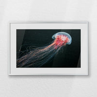 PSP060W040
