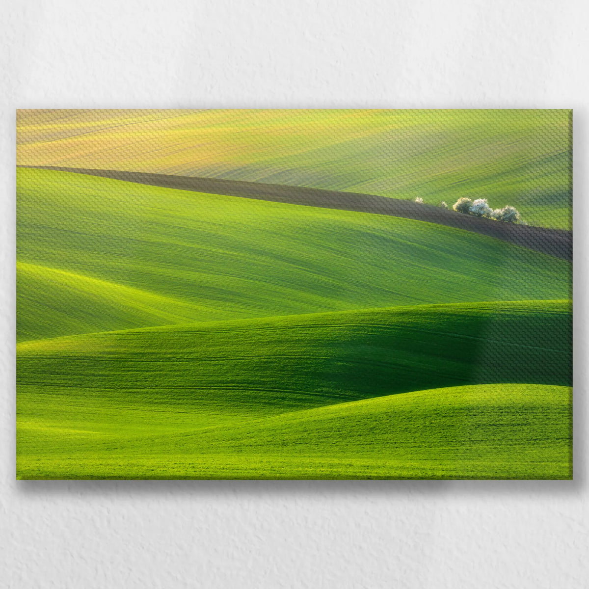 LW-045W030