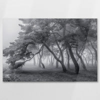 AC-090W060