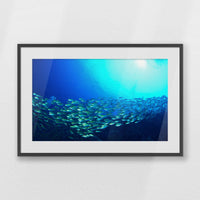 PKP093W062