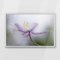PW-093W062