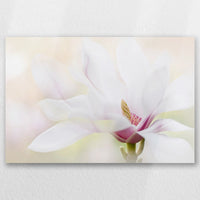 AC-030W020