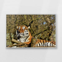 PS-100W070