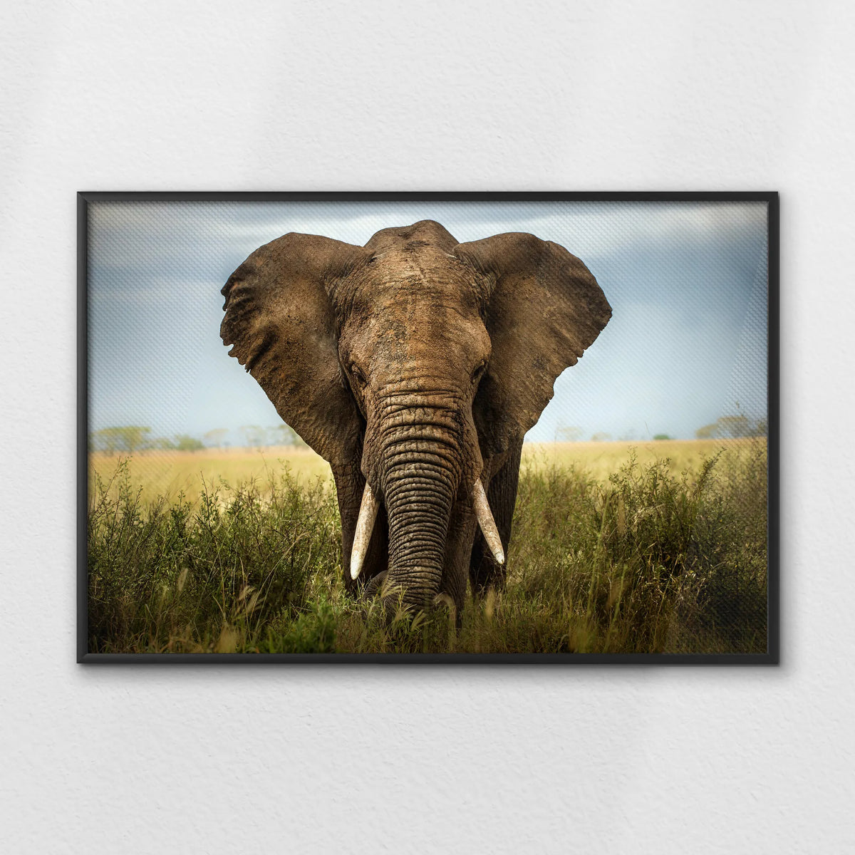 LWB120W080