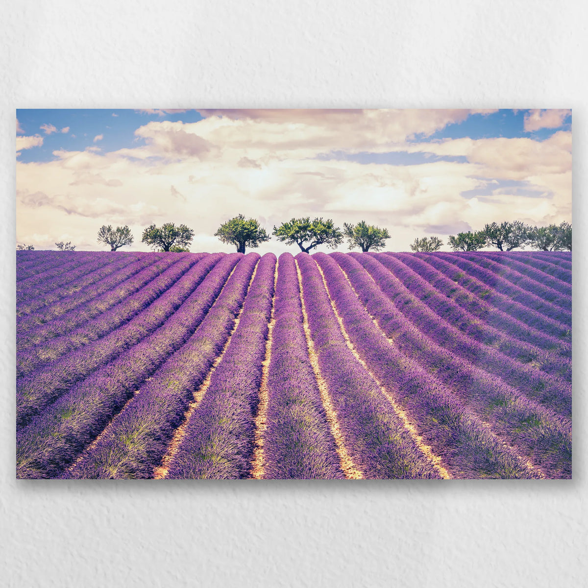 AL-045W030