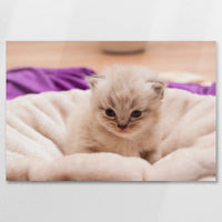 AL-090W060