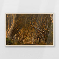 PN-100W070