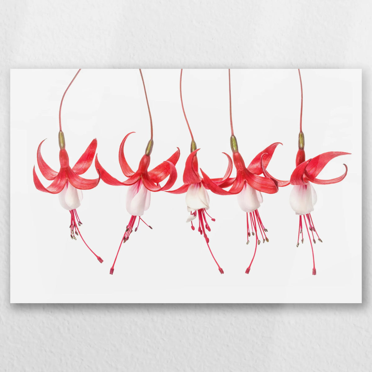 AC-045W030