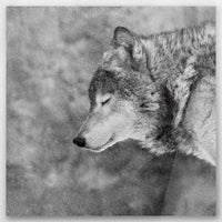 AC-060W060