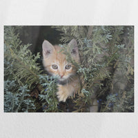 PO-030W020