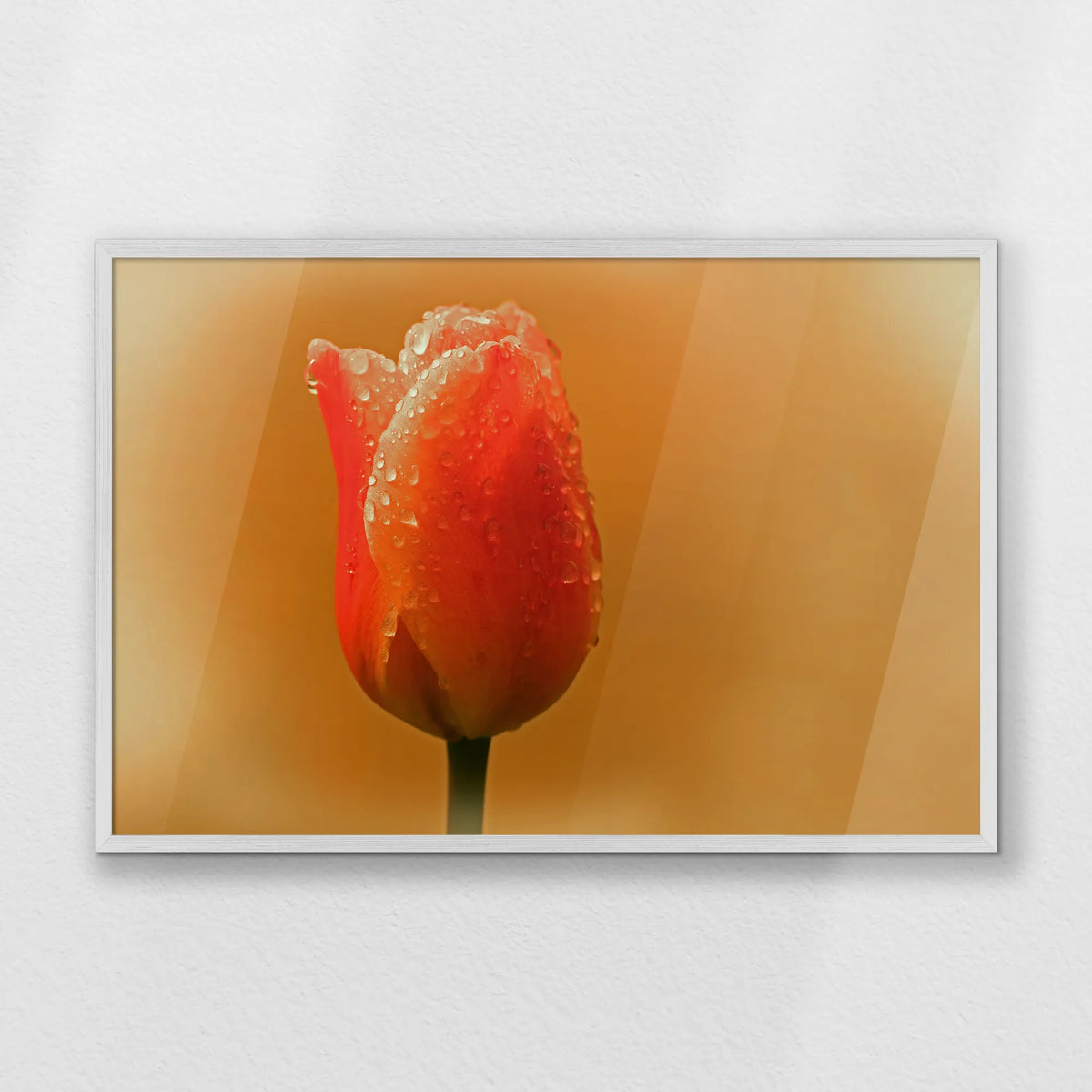 PW-093W062