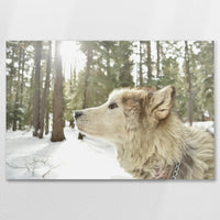 AL-075W050