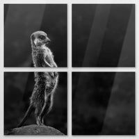 AL-160V160