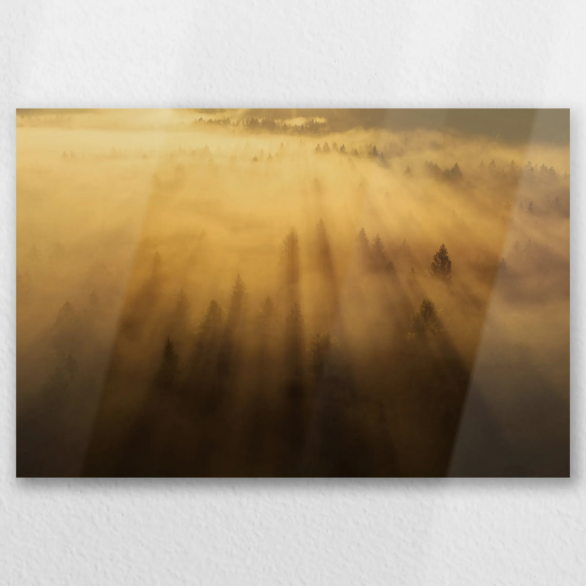 AL-030W020