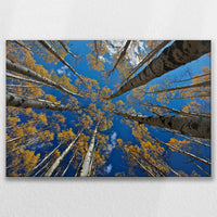 LW-090W060