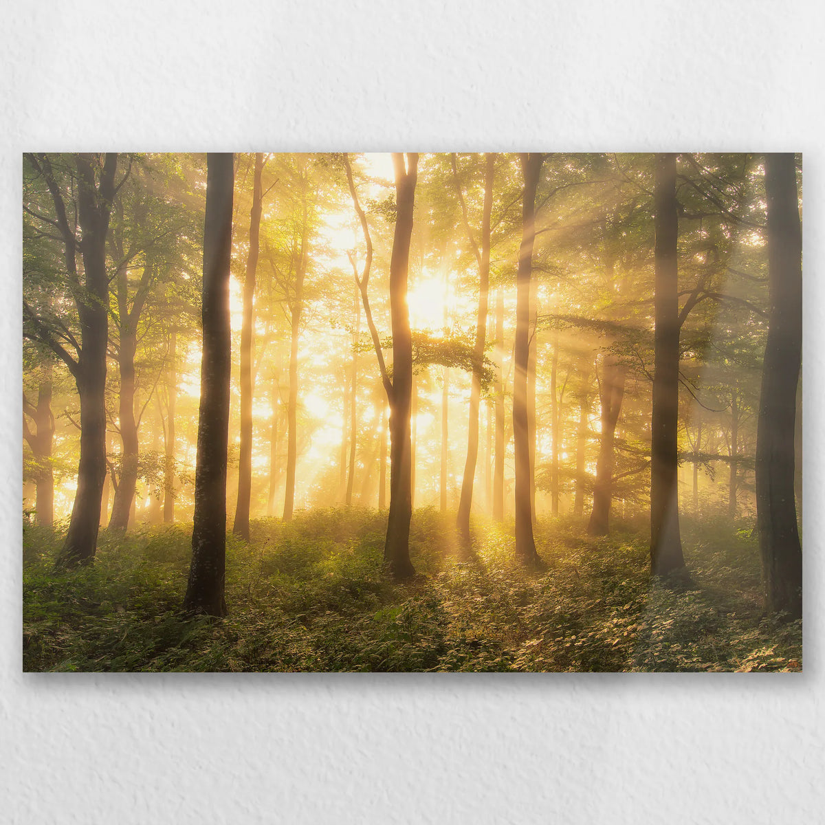 AL-030W020