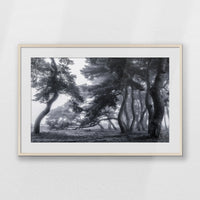 PNP100W070