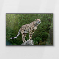 PB-093W062