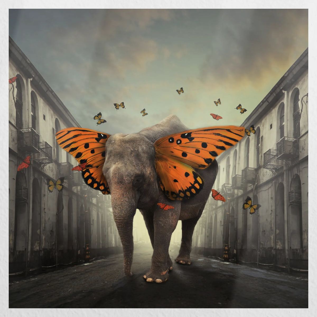 PO-040W040