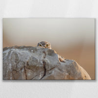 LW-075W050