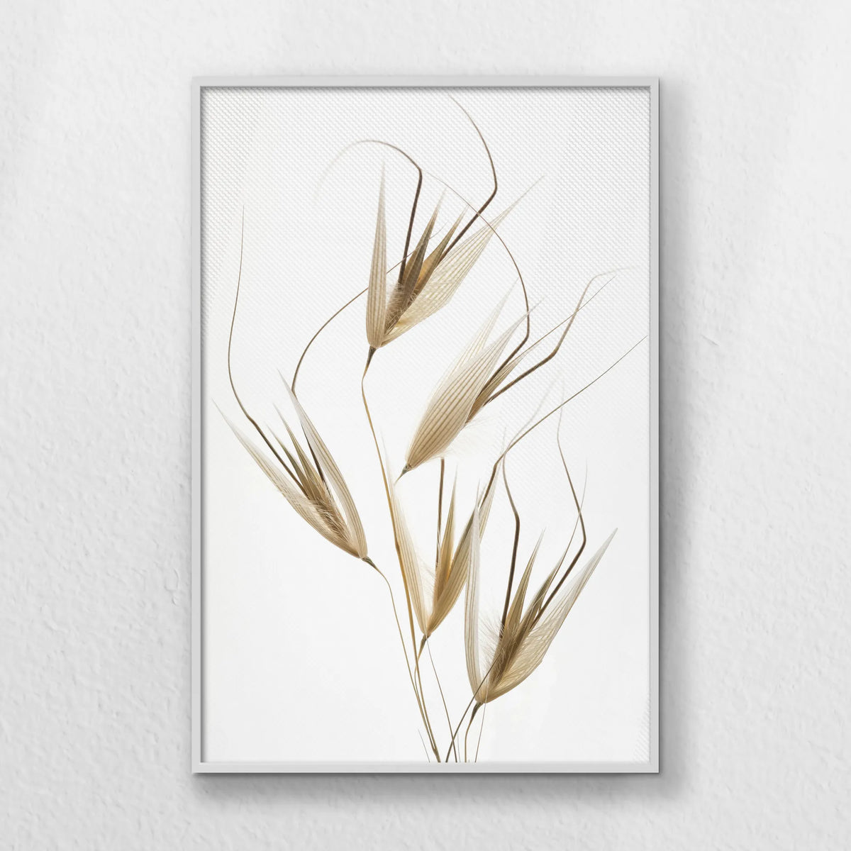 LWW080W120