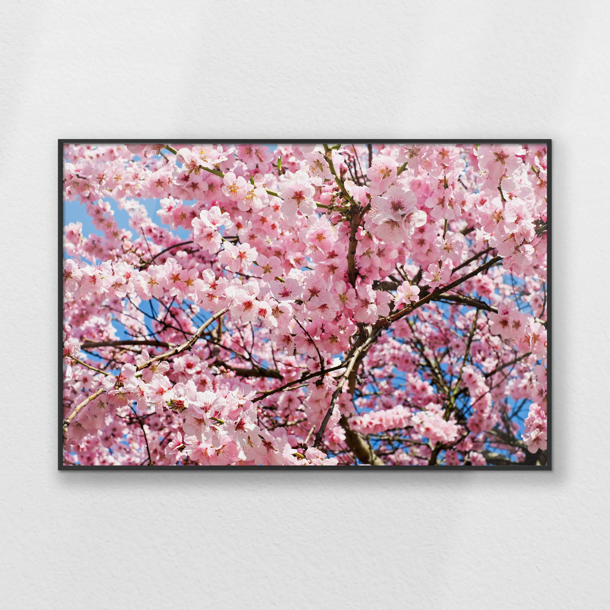 PB-093W062