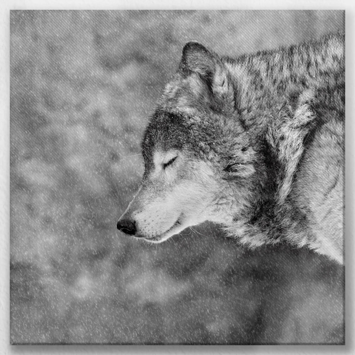 LW-050W050