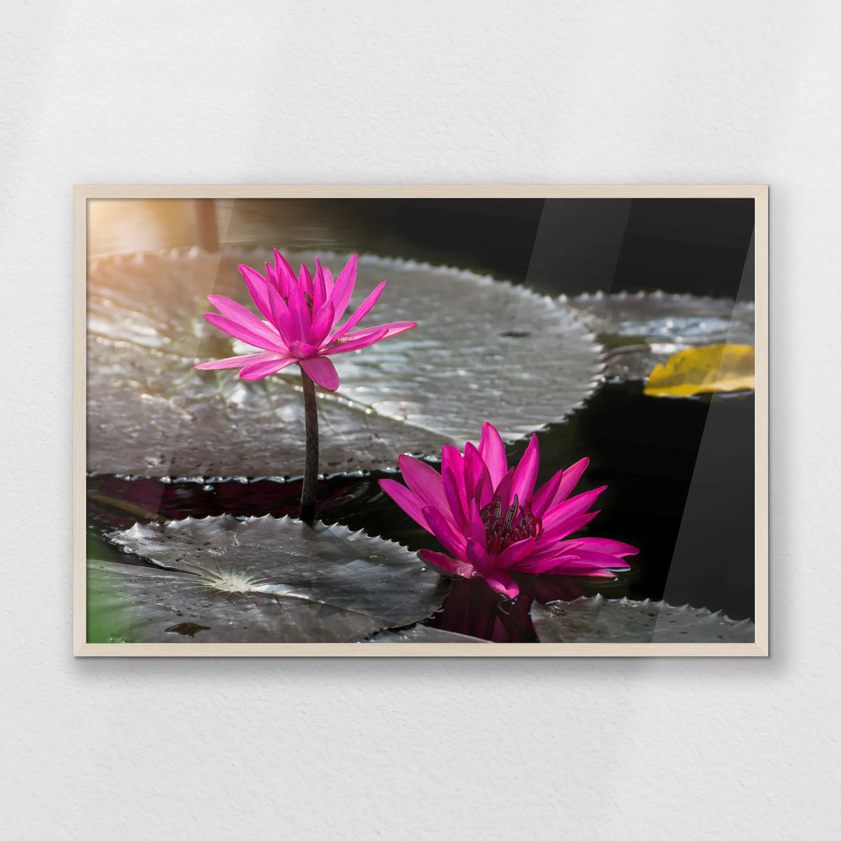 PN-093W062