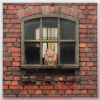 LW-060W060
