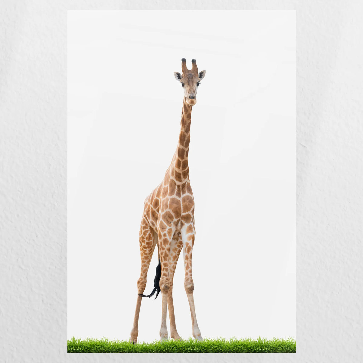 PO-020W030