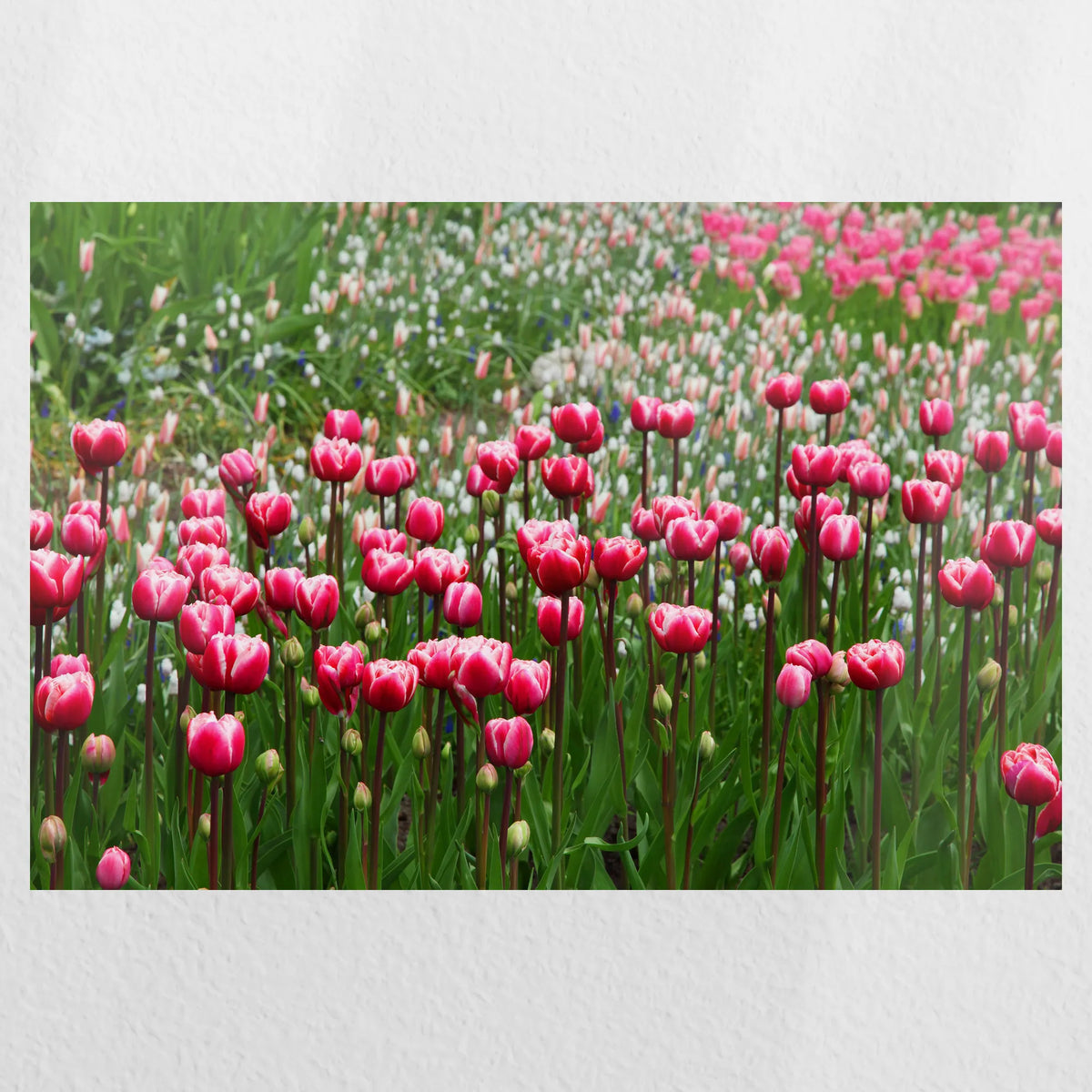 PO-060W040