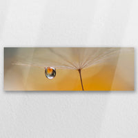 AC-060P020