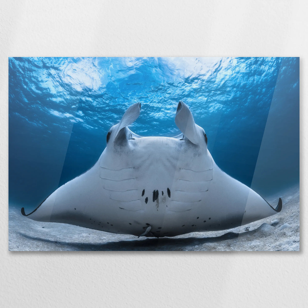 AC-075W050