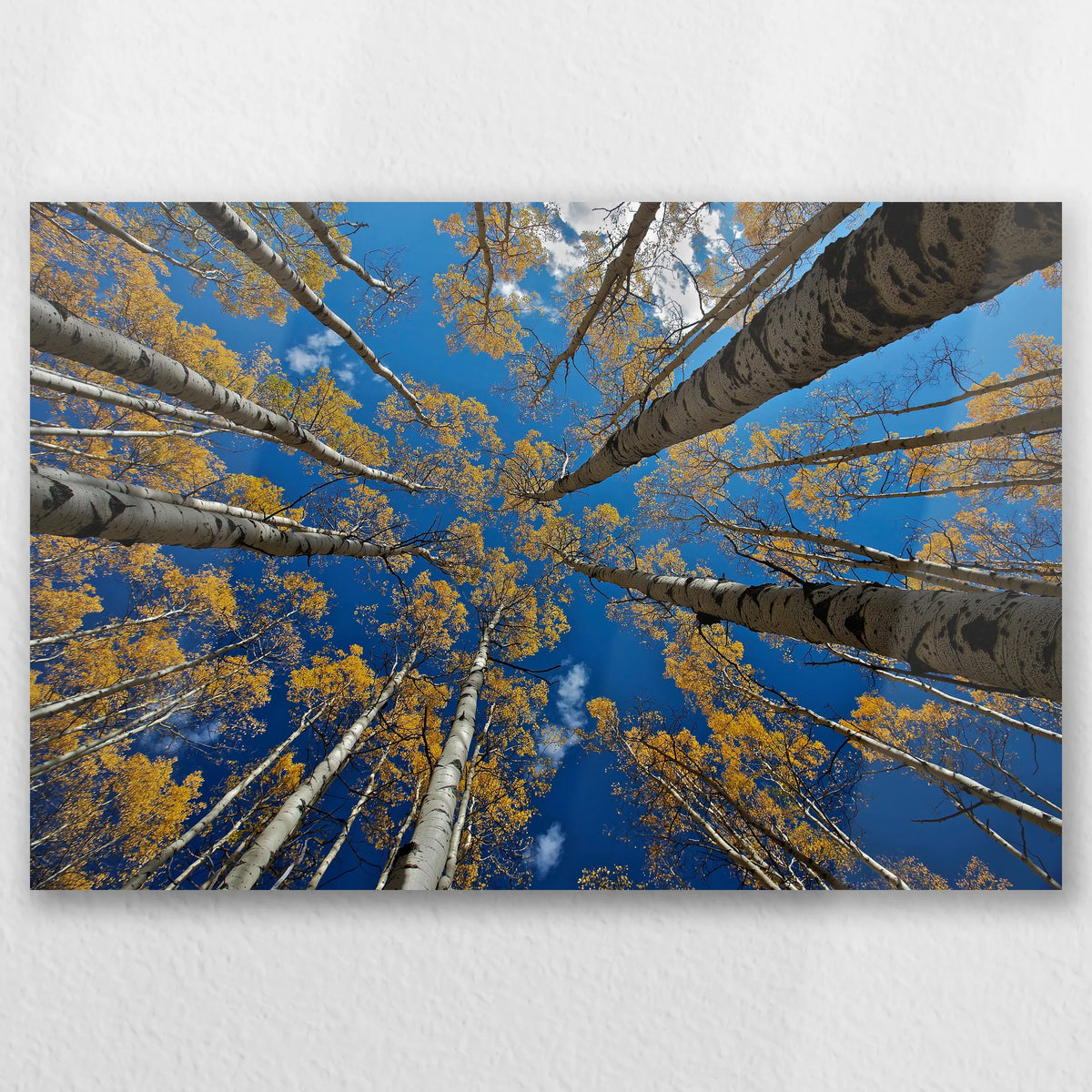 AL-030W020