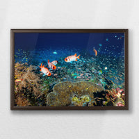 LWN060W040