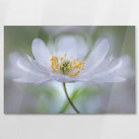AL-075W050