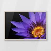 PN-093W062