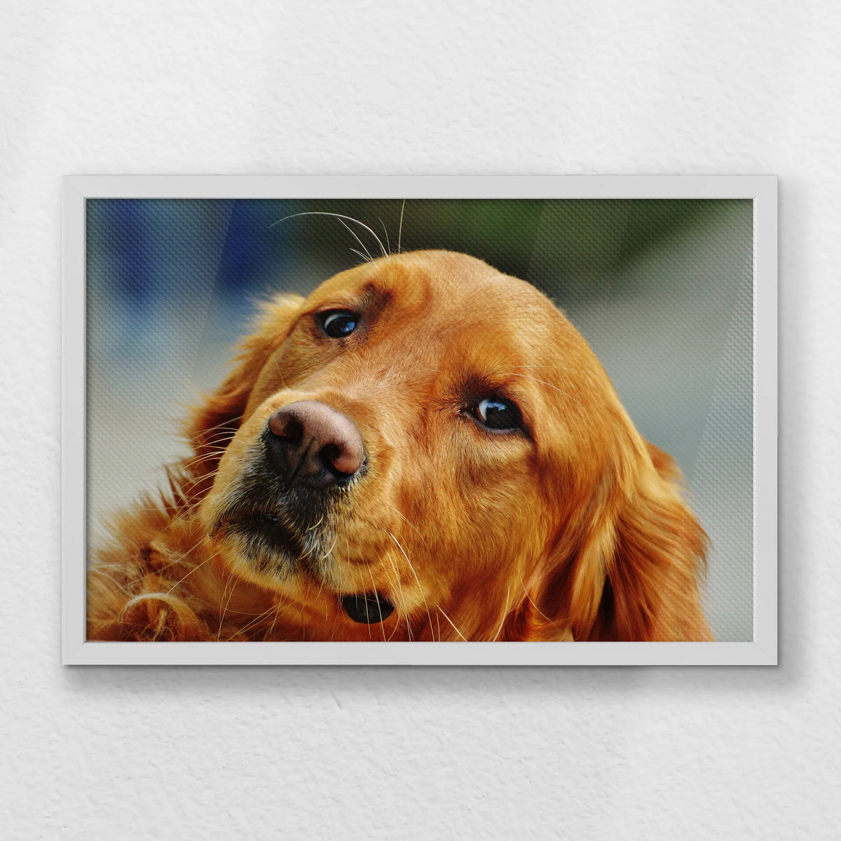 LWW060W040