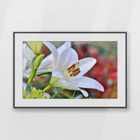 PBP093W062