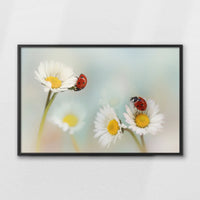 LWB100W070