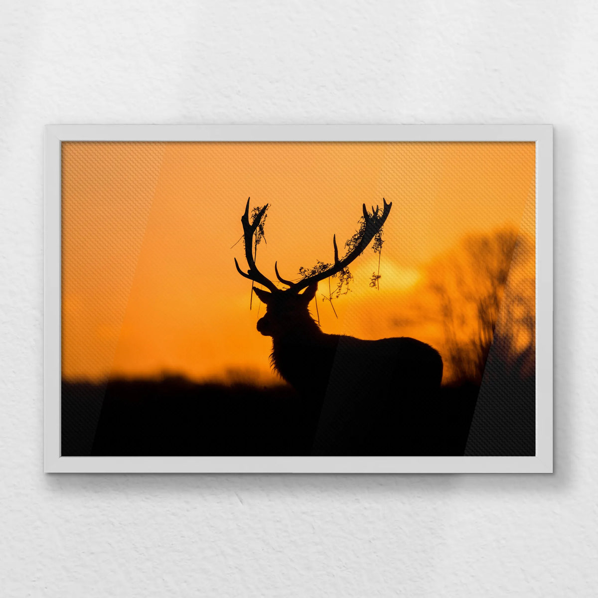 LWW060W040