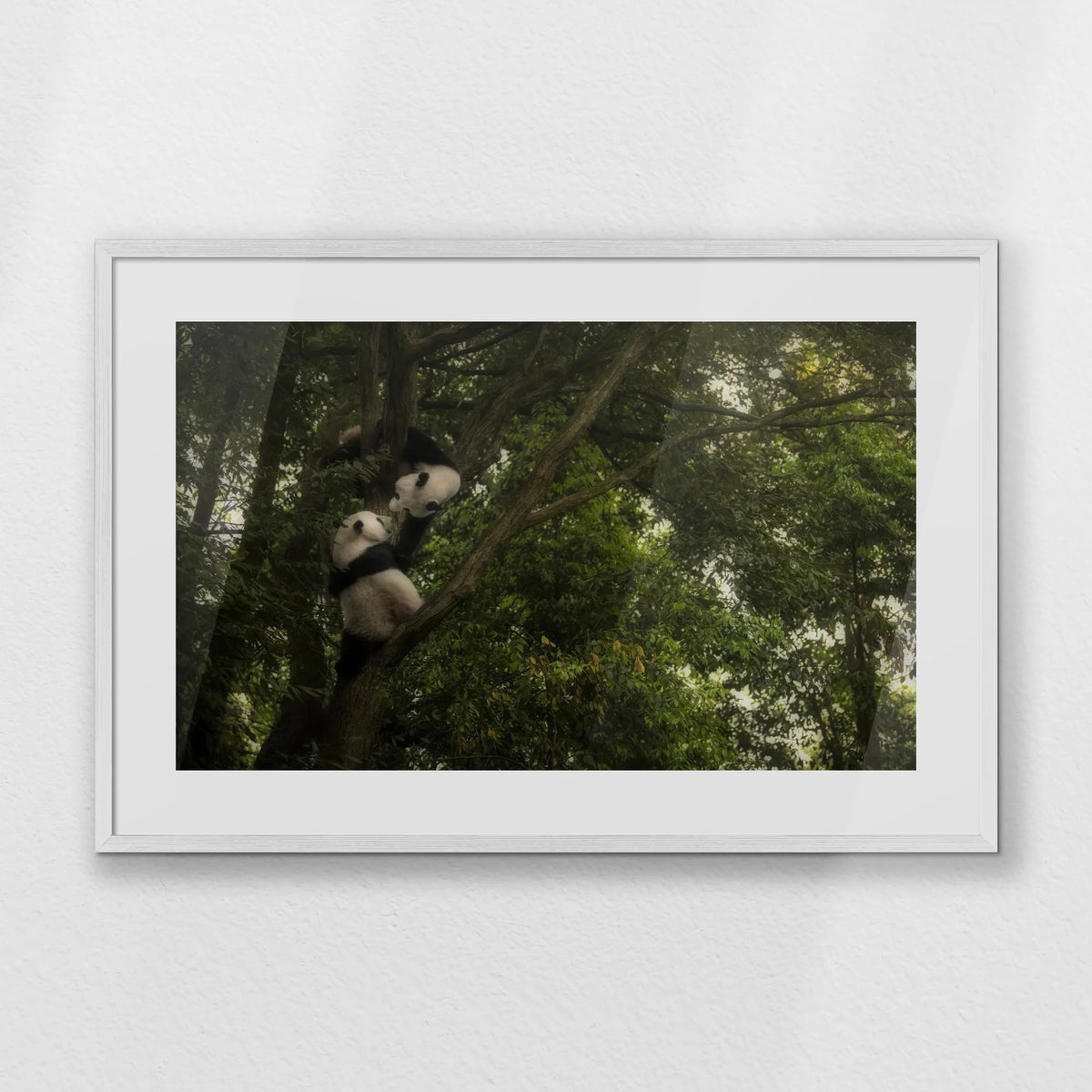 PWP093W062