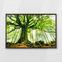 LWN100W070