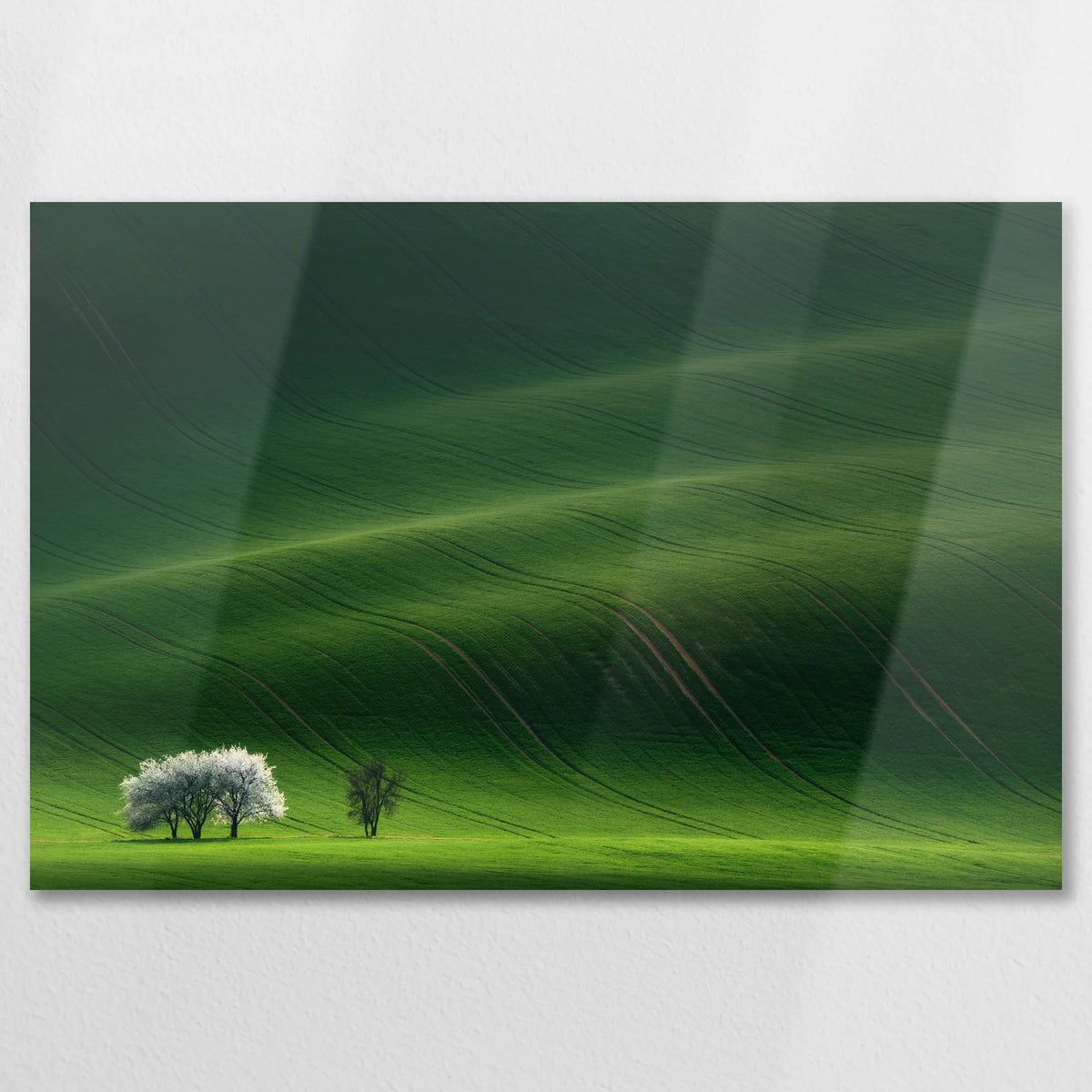 AL-075W050