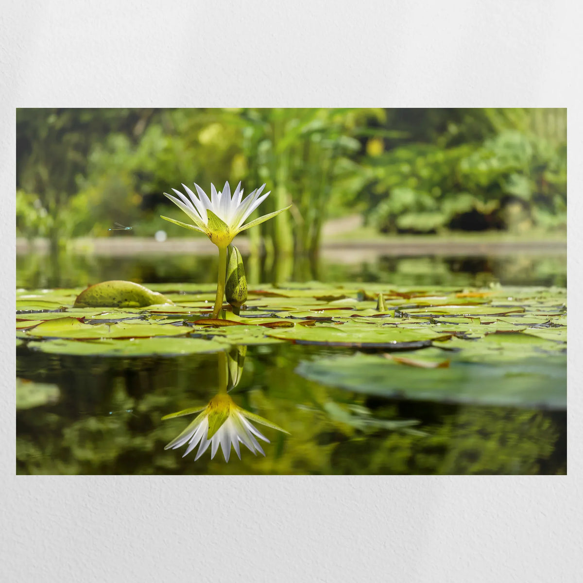 PO-120W080