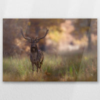 AC-045W030