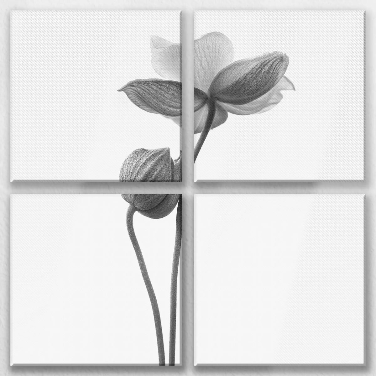 LW-080V080