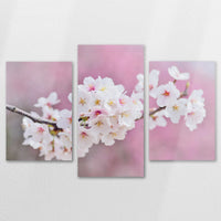 AL-120T080