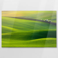 AL-075W050